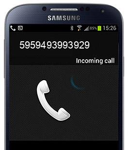 5959493993929